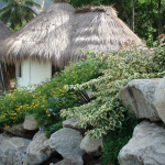 Caribbean Botanical Designs - Living Landscapes