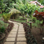 Caribbean Botanical Designs - Living Landscapes