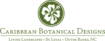 Caribbean Botanical Designs