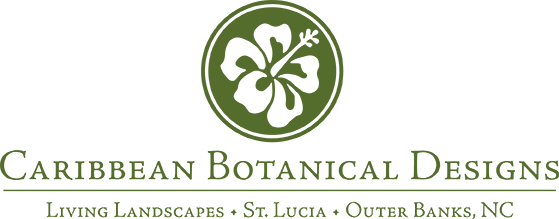 Caribbean Botanical Designs